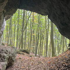 22-10-10 14-36-16 2663